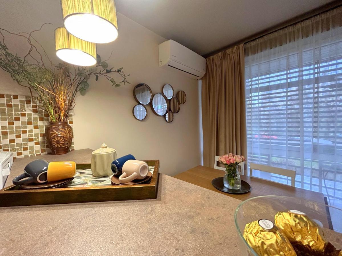 טימישוארה Thea Apartment מראה חיצוני תמונה